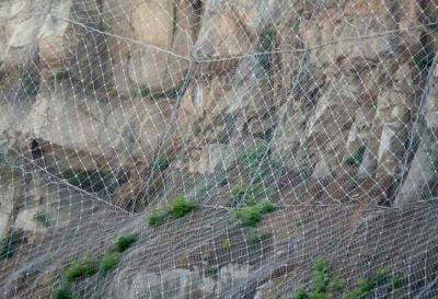 資陽柔性邊坡防護網